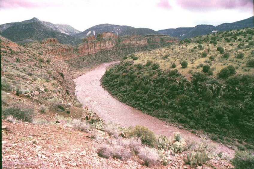 Full-Day Salt River Whitewater Rafting Trip