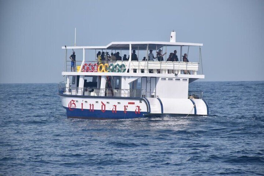 Whale Watching to Hikkaduwa with Breakfast and Transportation