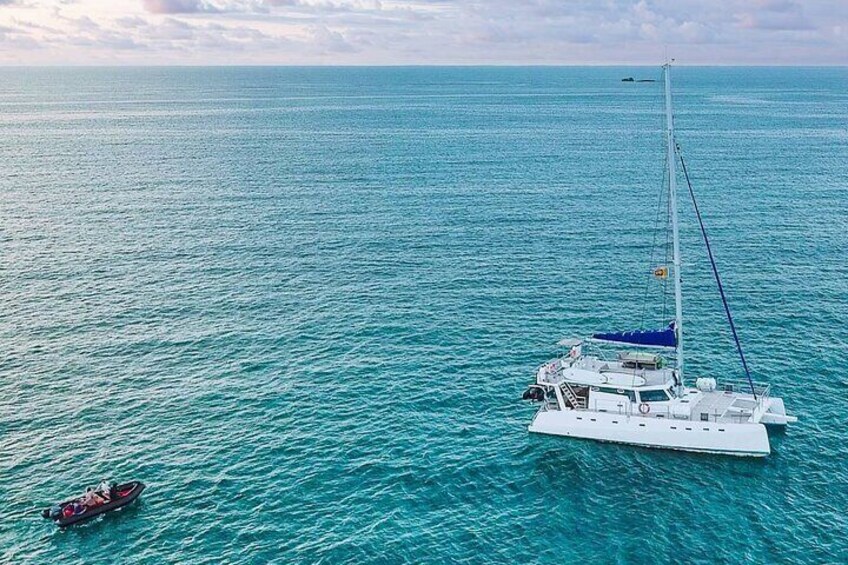 Whale Watching in Mirissa by Catamaran Cruise