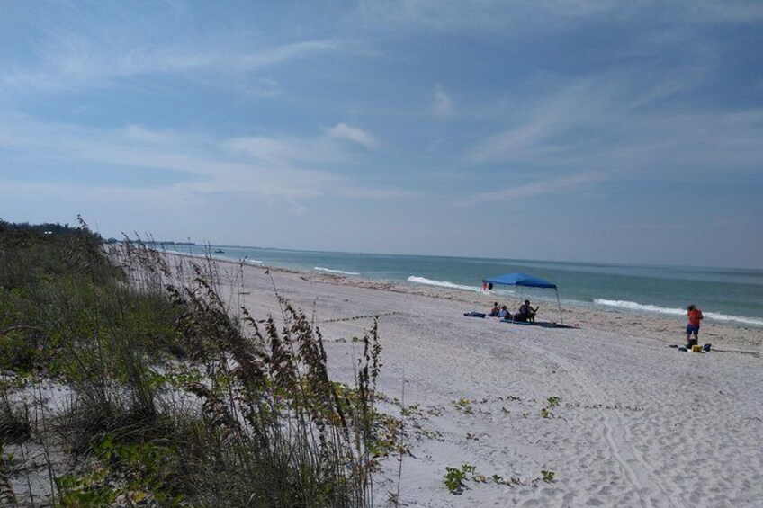 Four Hour Beach Day/ Cayo Costa State Park