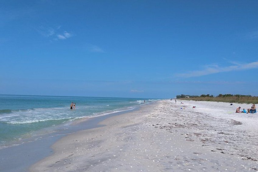 Four Hour Beach Day/ Cayo Costa State Park