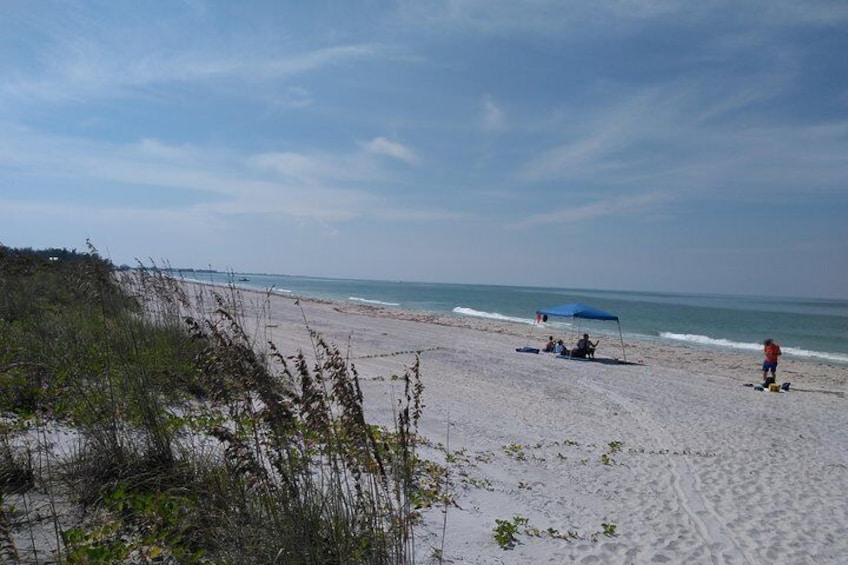Shelling on Don Pedro Island 6hr Trip