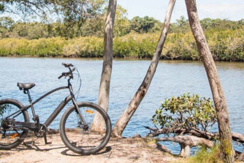 eBike Tour from Mt Tinbeerwah to Noosa