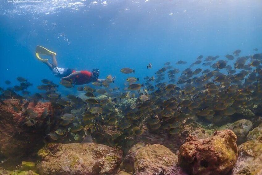 From Bangkok: Nemo Island with Lunch and Drone Photos