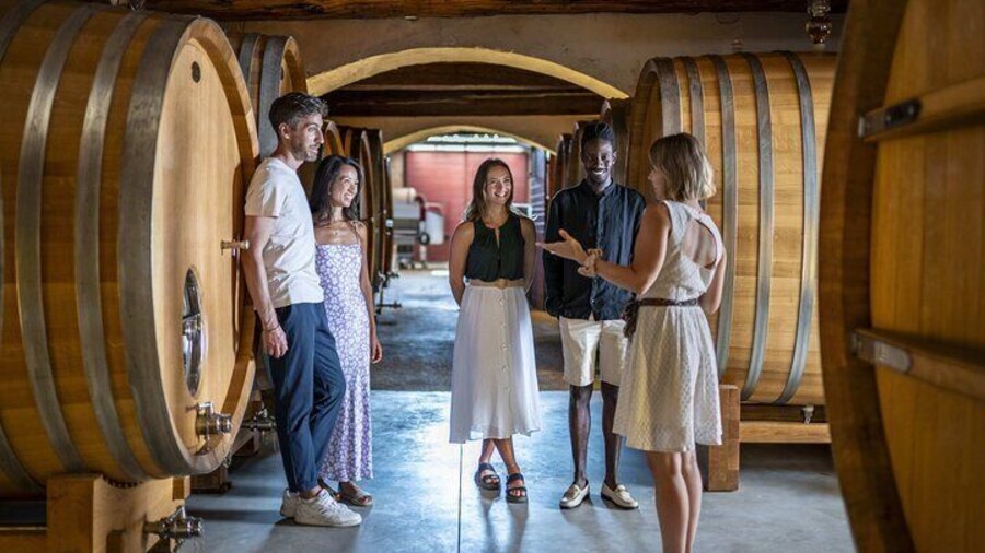 Provence Wine Tour - Private Day Tour from Antibes