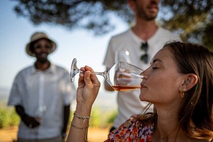 Provence Wine Tour - Private Day Tour from Antibes