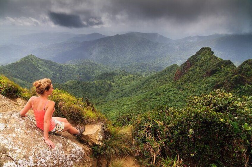 Half Day Adventure Private Tour in El Yunque Rainforest