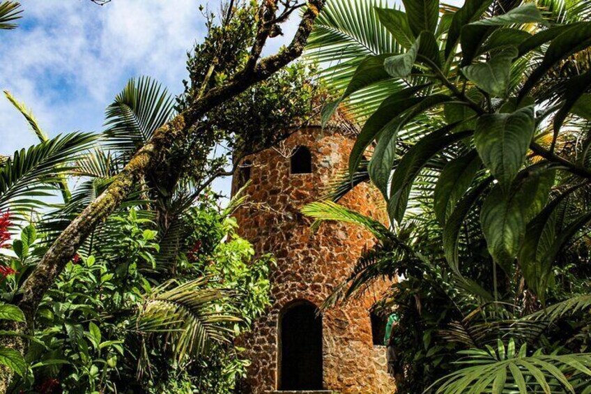 Half Day Adventure Private Tour in El Yunque Rainforest