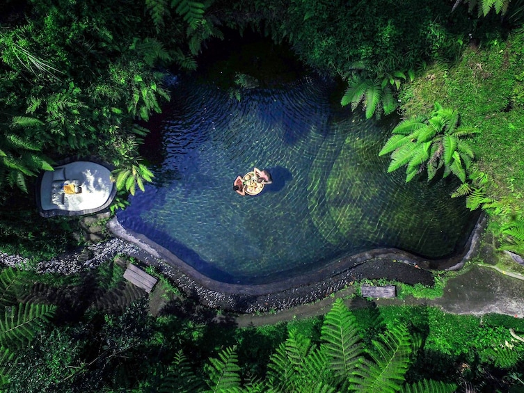Natural Pool by Bali Pulina Plantation