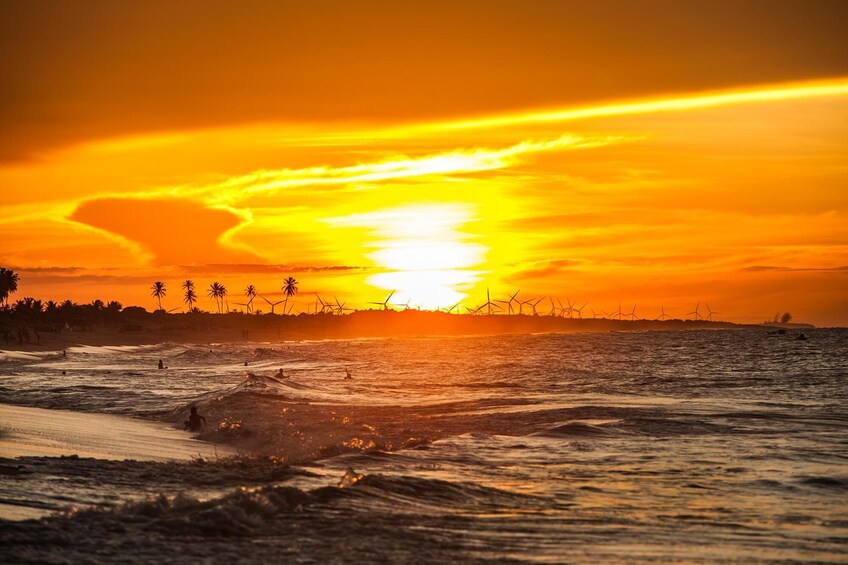 São Miguel do Gostoso Beach Tour