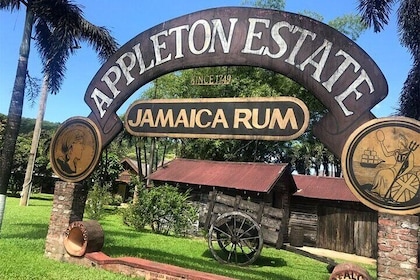 Appleton Estate Rum Factory And YS Falls Inclusive Tours From Montego Bay 
