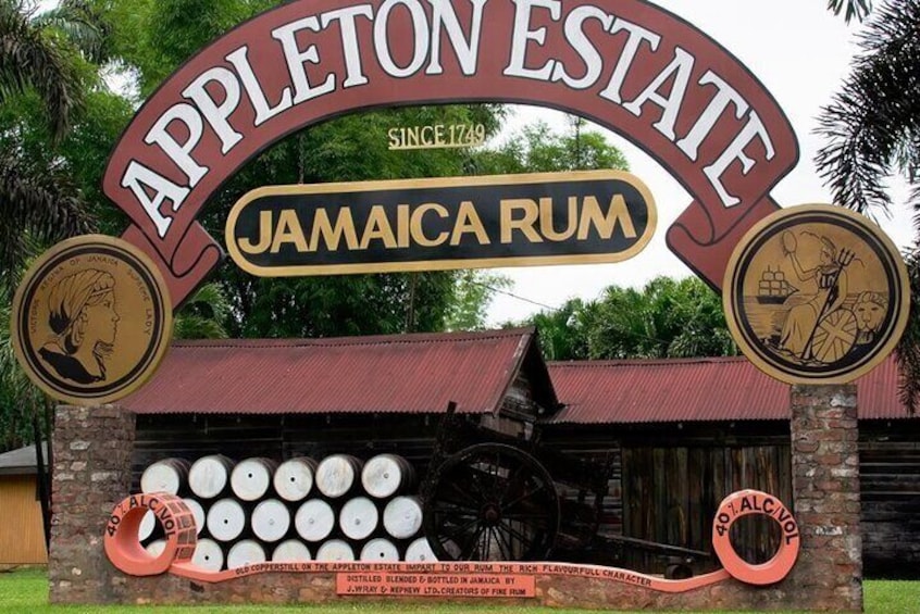 Appleton Estate Rum Factory And YS Falls Inclusive Tours From Montego Bay 