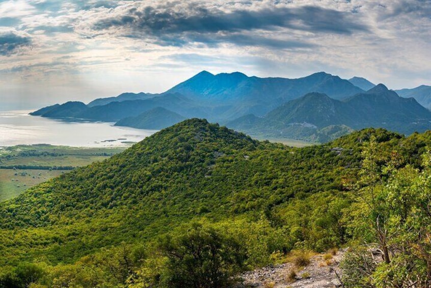 Full Day Private Skadar Lake Wine Tour Experience from Budva