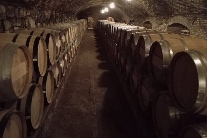 Private Half-Day Tour Visit Traditional Concha y Toro Vineyard