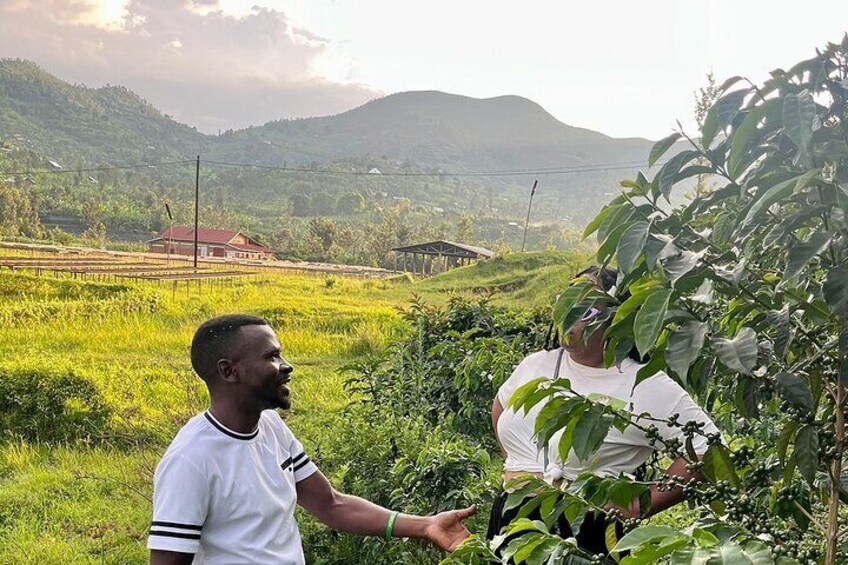 Lake Kivu Private Trip with Boat Ride and Island Hike from Kigali