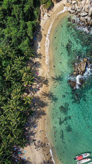 Picture 9 for Activity From Santa Marta: Tayrona National Park Guided Tour