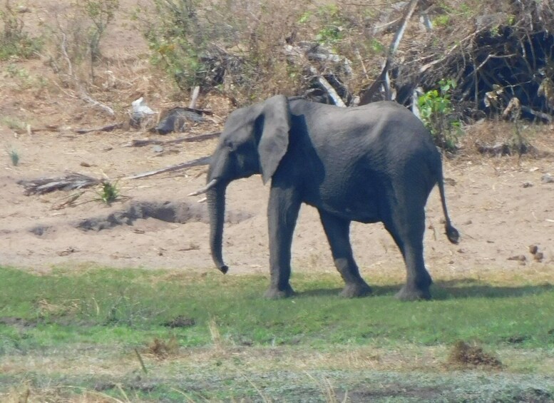 Akagera Day Trip from Kigali