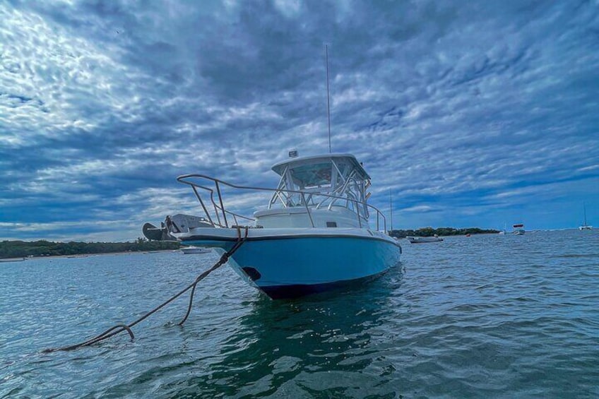 Half Day Deep Sea Fishing Private Charter in Tamarindo