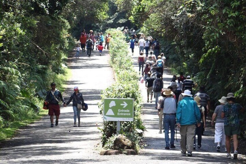 Accessible trail in Poás Volcano National Park