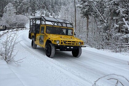 Wildside 4X4's Winter Wonderland Sledding Tour