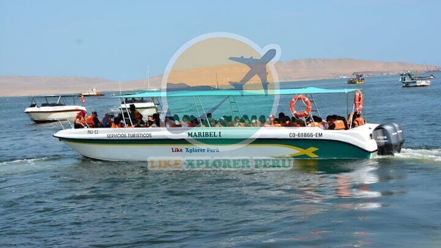 Ballestas Islands Tour Boat with roof