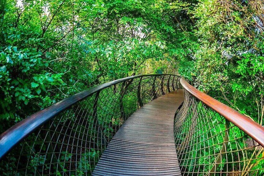 Robben Island and Kirstenbosch National Botanical Gardens Tour