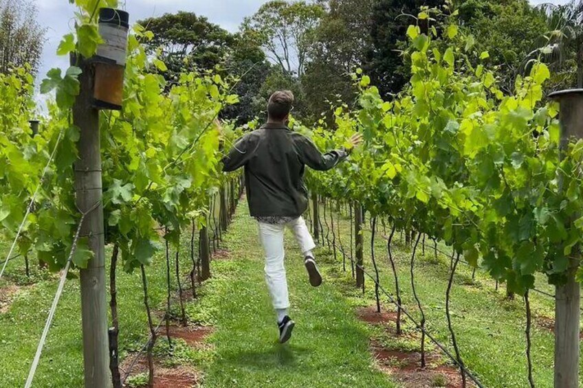 Deluxe Winery Tour to Tamborine Mountain (Mon-Tues)