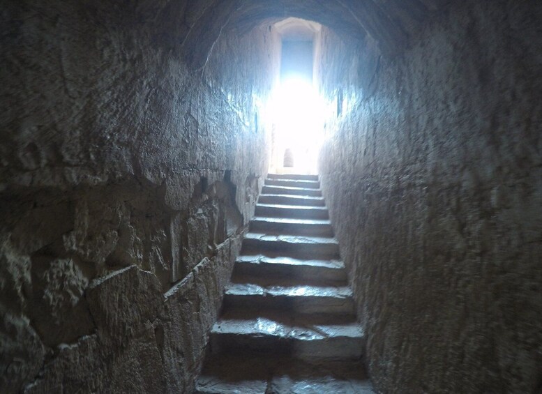 Picture 1 for Activity Amman: Azraq Desert Castles and Wetlands by bike