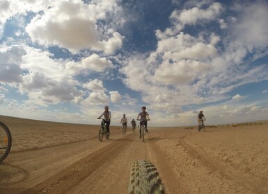 Ammán: Castillos del Desierto de Azraq y Humedales en bicicleta