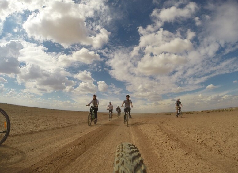 Amman: Azraq Desert Castles and Wetlands by bike