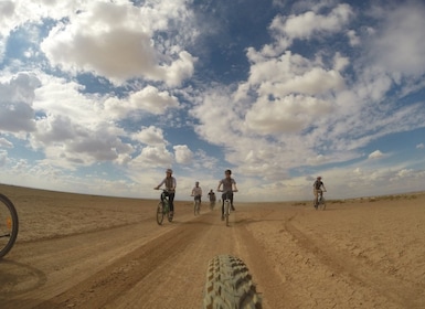 Ammán: castillos y humedales del desierto de Azraq en bicicleta
