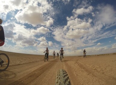 Ammán: castillos y humedales del desierto de Azraq en bicicleta