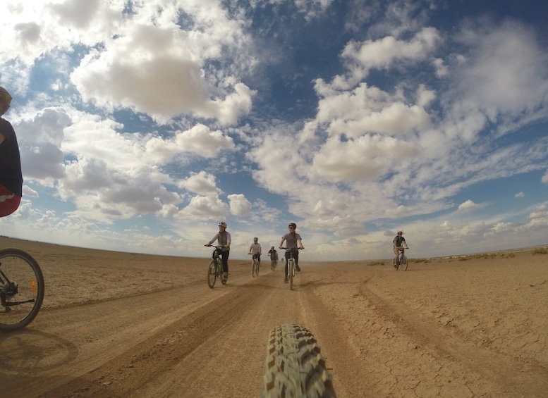 Amman: Azraq Desert Castles and Wetlands by bike