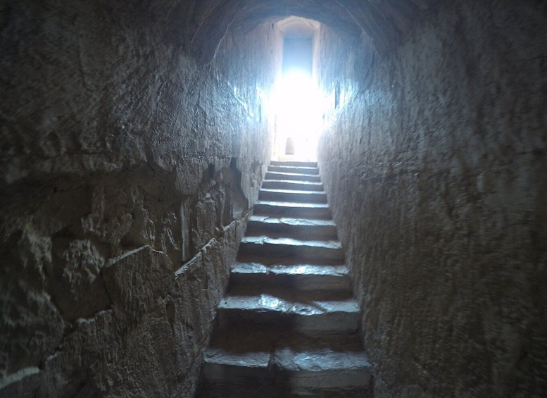 Picture 1 for Activity Amman: Azraq Desert Castles and Wetlands by bike