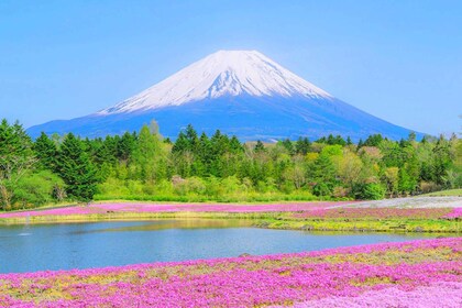 Von Tokio aus: Mt. Fuji 5., Oshino Hakkai, Onsen Ganztagesausflug