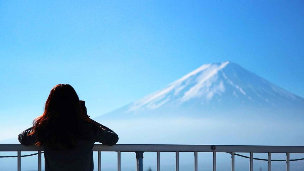 Picture 9 for Activity From Tokyo: Mt. Fuji 5th, Oshino Hakkai, Onsen Full-Day Trip