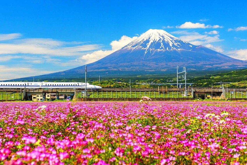 Picture 2 for Activity From Tokyo: Mt. Fuji 5th, Oshino Hakkai, Onsen Full-Day Trip