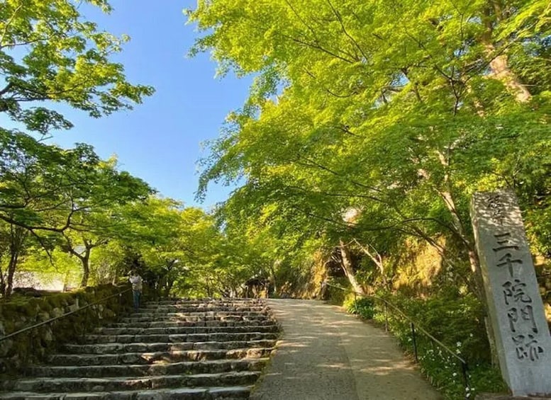 Picture 6 for Activity Kyoto/Osaka: Sanzenin, Bamboo Forest, & Arashiyama Day Trip