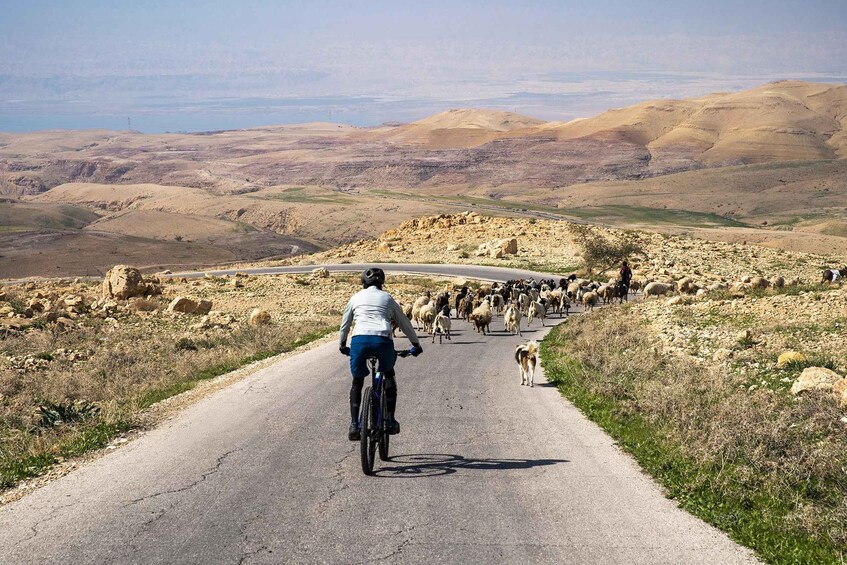 Picture 3 for Activity Madaba: Guided Cycling Tour from Nebo to Mukawer