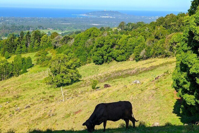 Byron Bay and Bangalow from Gold Coast