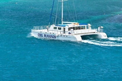 Dunn's River Falls Catamaran Cruise Tour Ocho Rios Jamaica