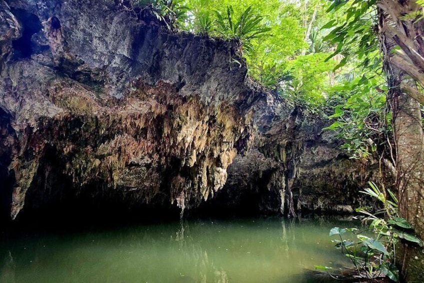 ATV Off Road Adventure to Jade Cavern Tequila and Beach 