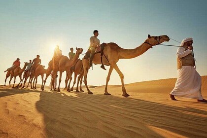 Marsa Alam Sea and Desert Camel Ride Adventure
