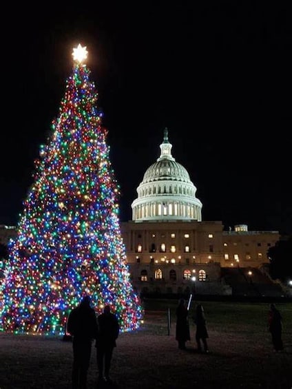 Picture 5 for Activity Washington DC: Moon Light Tour of National Mall & Memorials