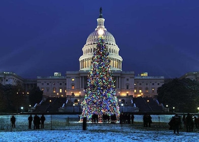 Washington, DC: National Mall and Memorials Moonlight Tour