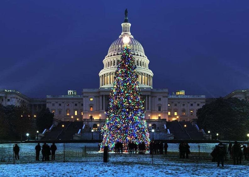 Washington DC: Moon Light Tour of National Mall & Memorials