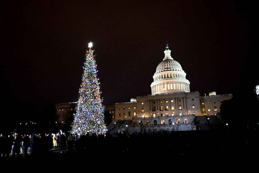 Picture 4 for Activity Washington DC: Moon Light Tour of National Mall & Memorials