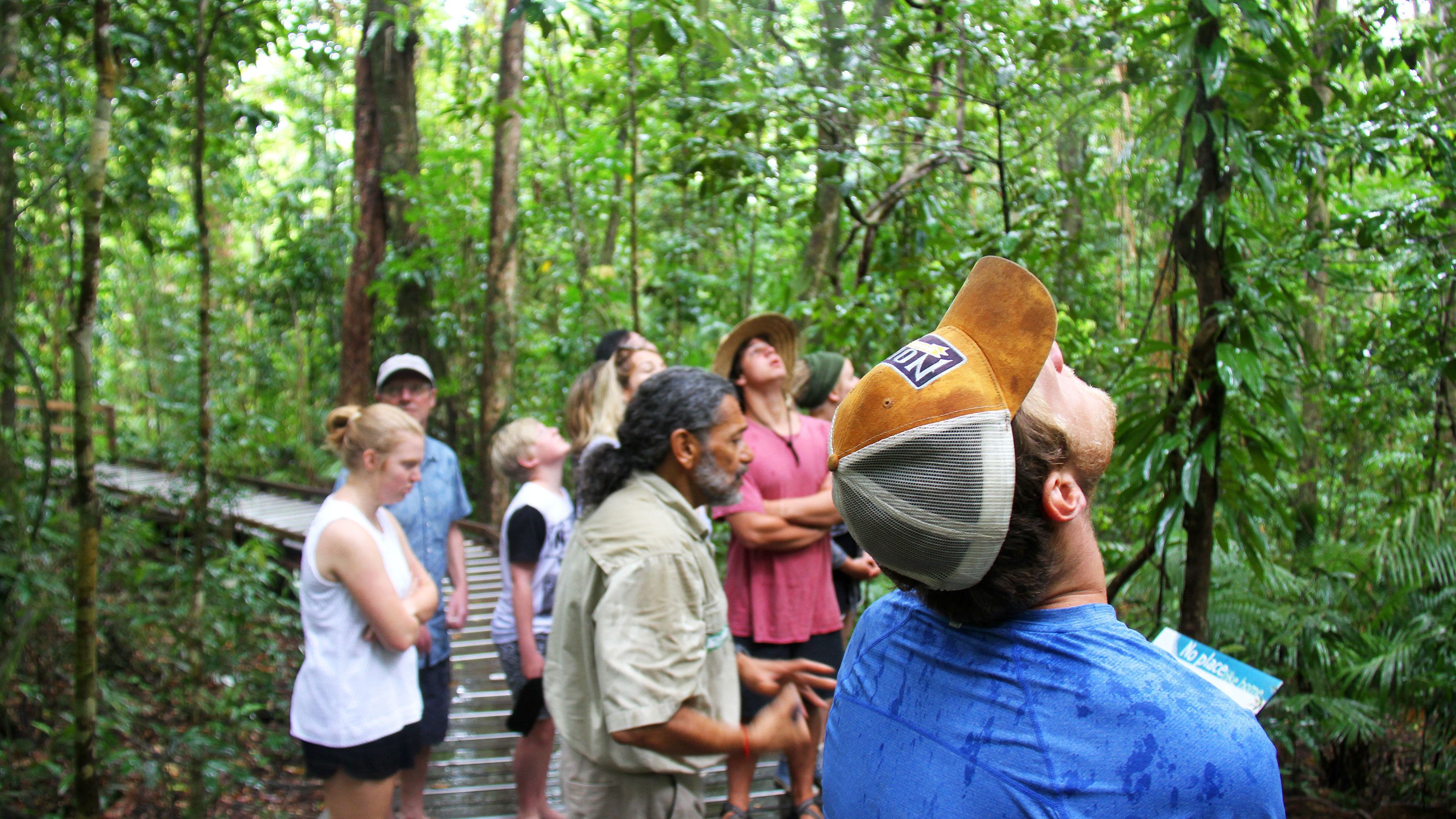 Full-Day Tour To The Daintree Rainforest & Cape Tribulation