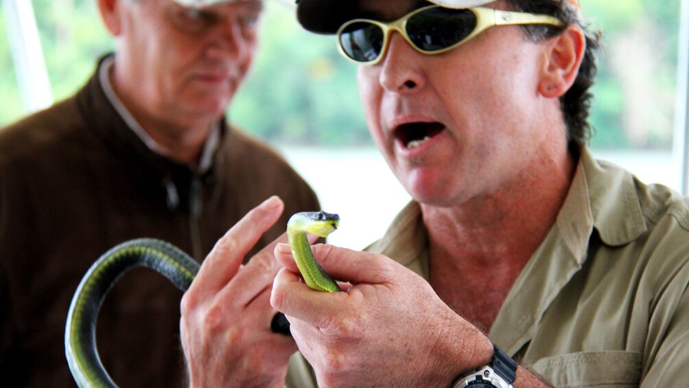 Show item 3 of 5. Tour guide holding snake during tour in Daintree Rainforest