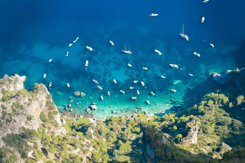 Picture 6 for Activity From Sorrento: Round-Trip Ferry Ticket to Capri and Positano